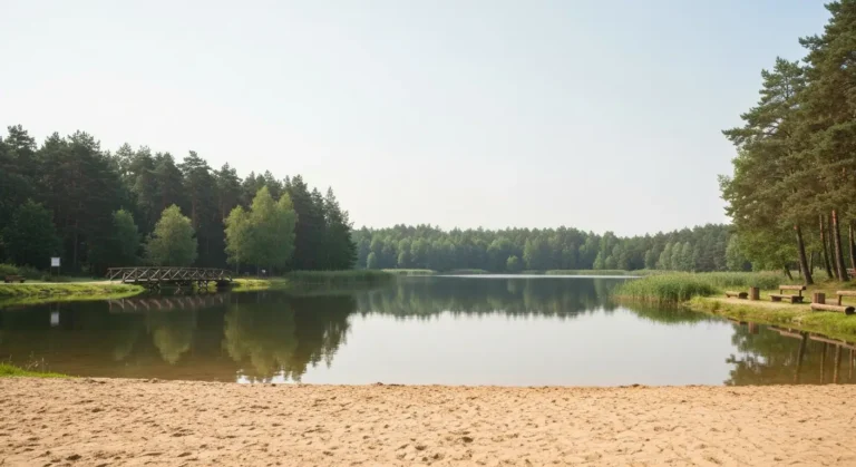 Spokojny zalew w Jedlni-Letnisku pod Radomiem z piaszczystą plażą i lasem Puszczy Kozienickiej w tle