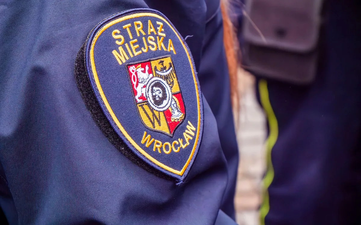 Jak śledzić oficjalne informacje o Air Show Radom?