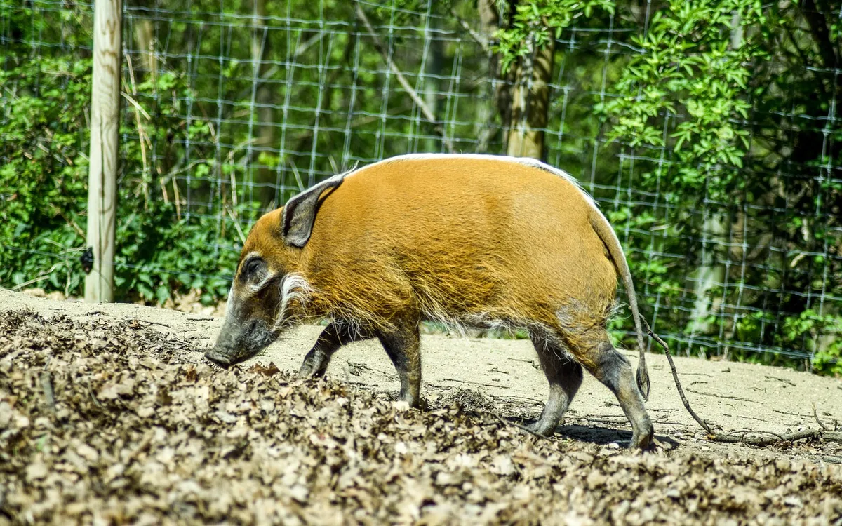 Kiedy najlepiej odwiedzić Orońsko?